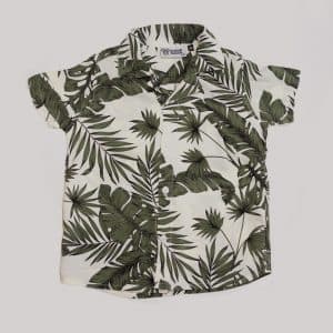 Shirts